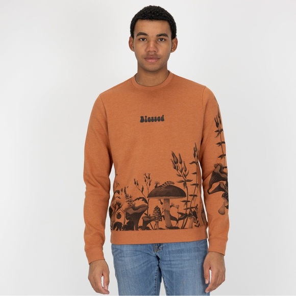 Blind Rooster Graphic Crewneck Sweatshirt Amber Brown Mushroom Caterpillar small - Picture 2 of 9